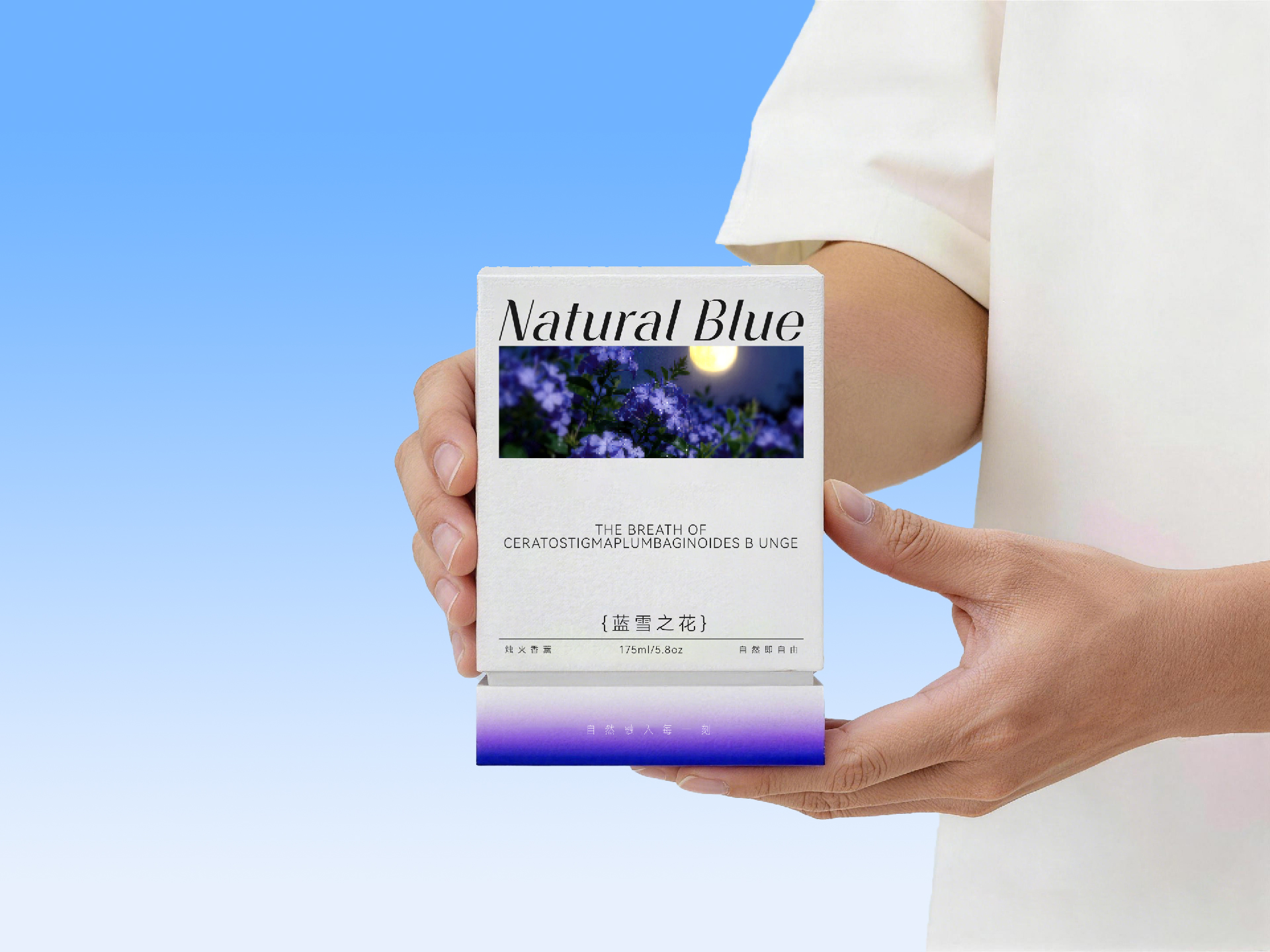 亚蓝香薰品牌提案