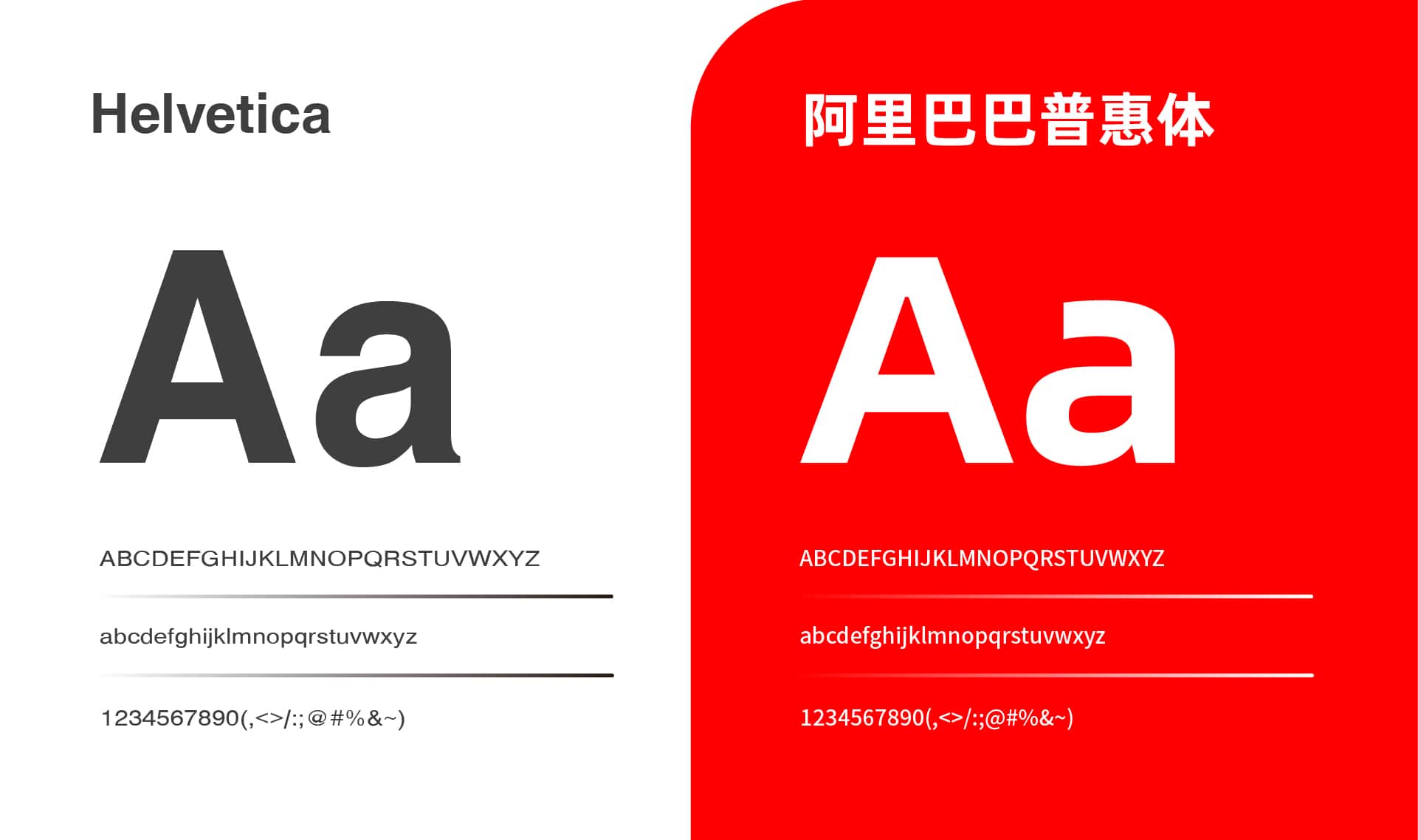 画板 1 副本 5-100-ZExJ.jpg