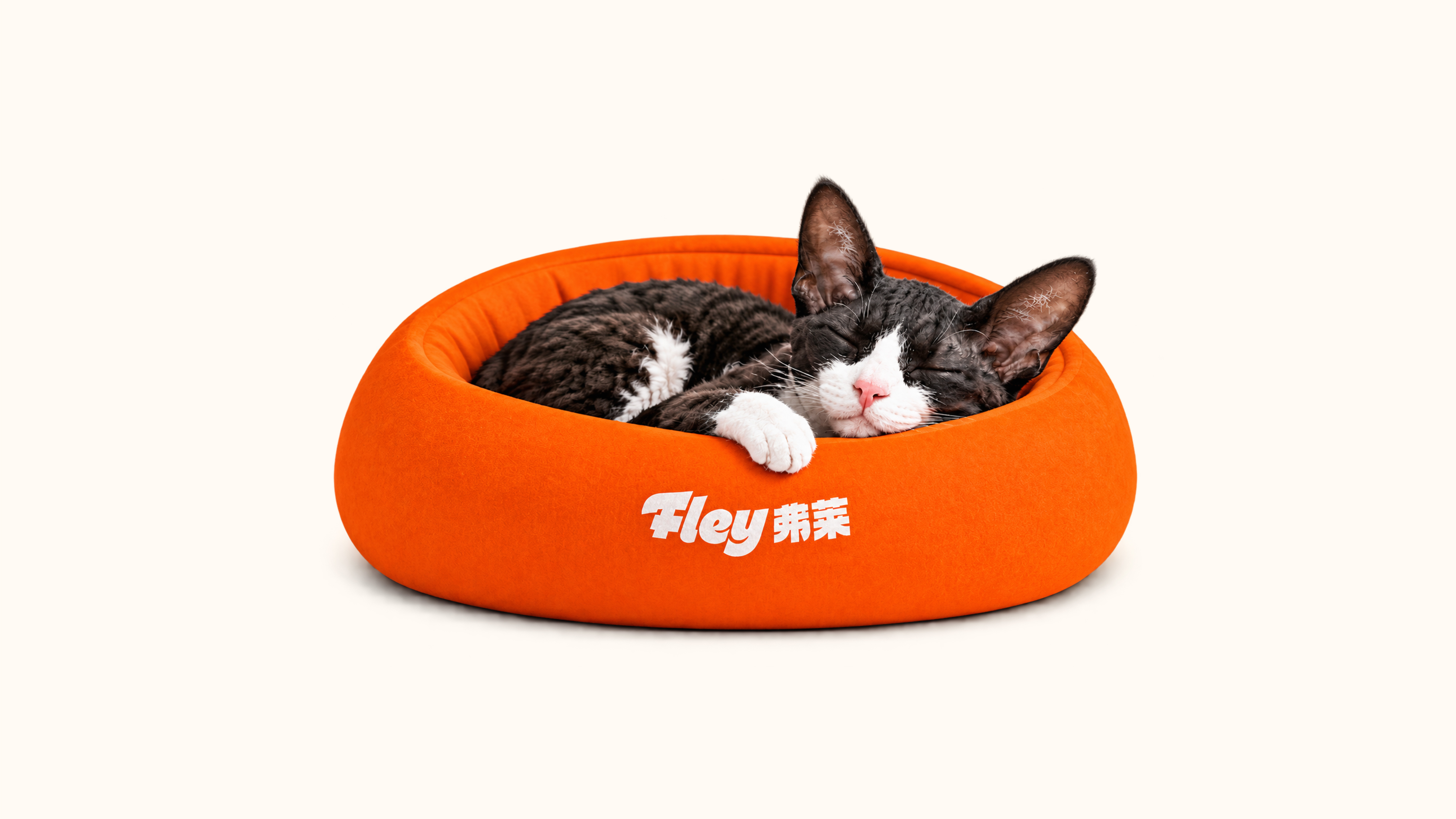 Fley弗莱宠物品牌全案