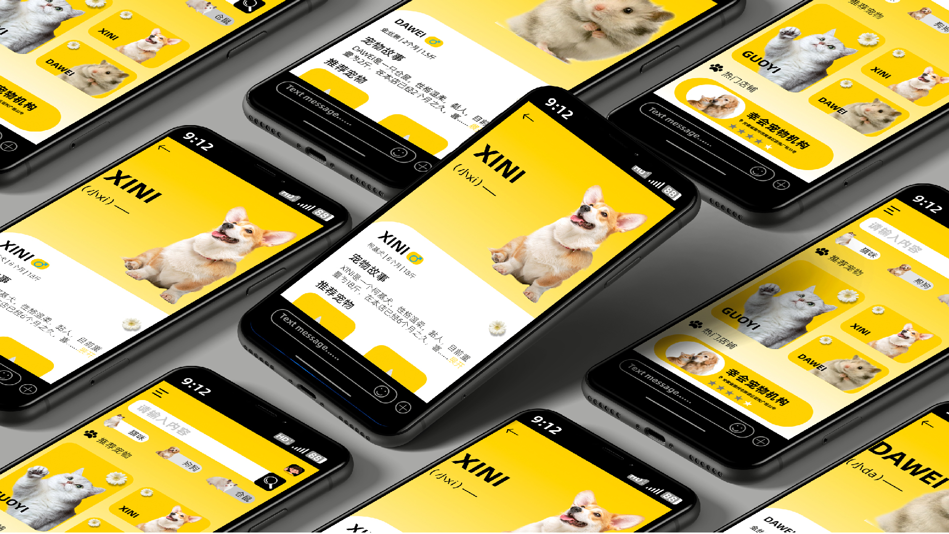 宠物品牌_画板 1 副本 17.jpg