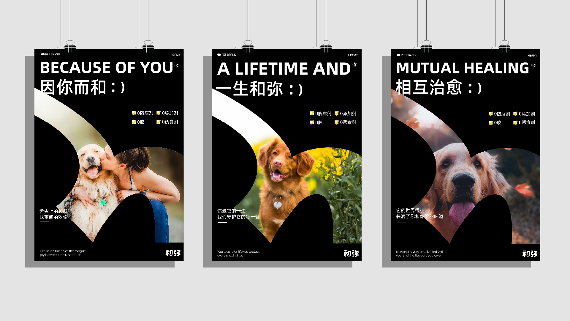 宠物品牌_画板 1 副本 22.jpg