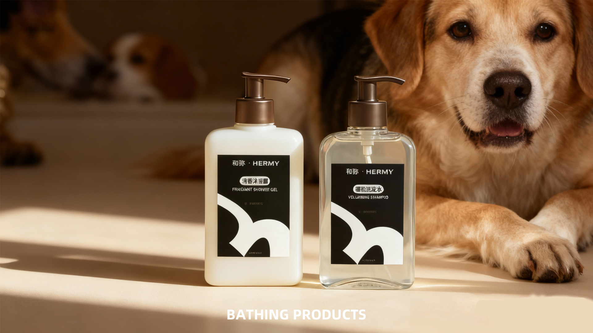 宠物品牌_画板 1 副本 32.jpg