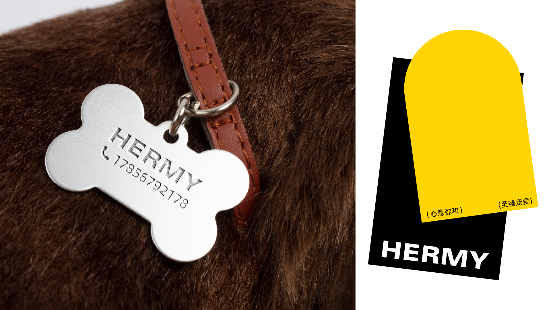 宠物品牌_画板 1 副本 38.jpg