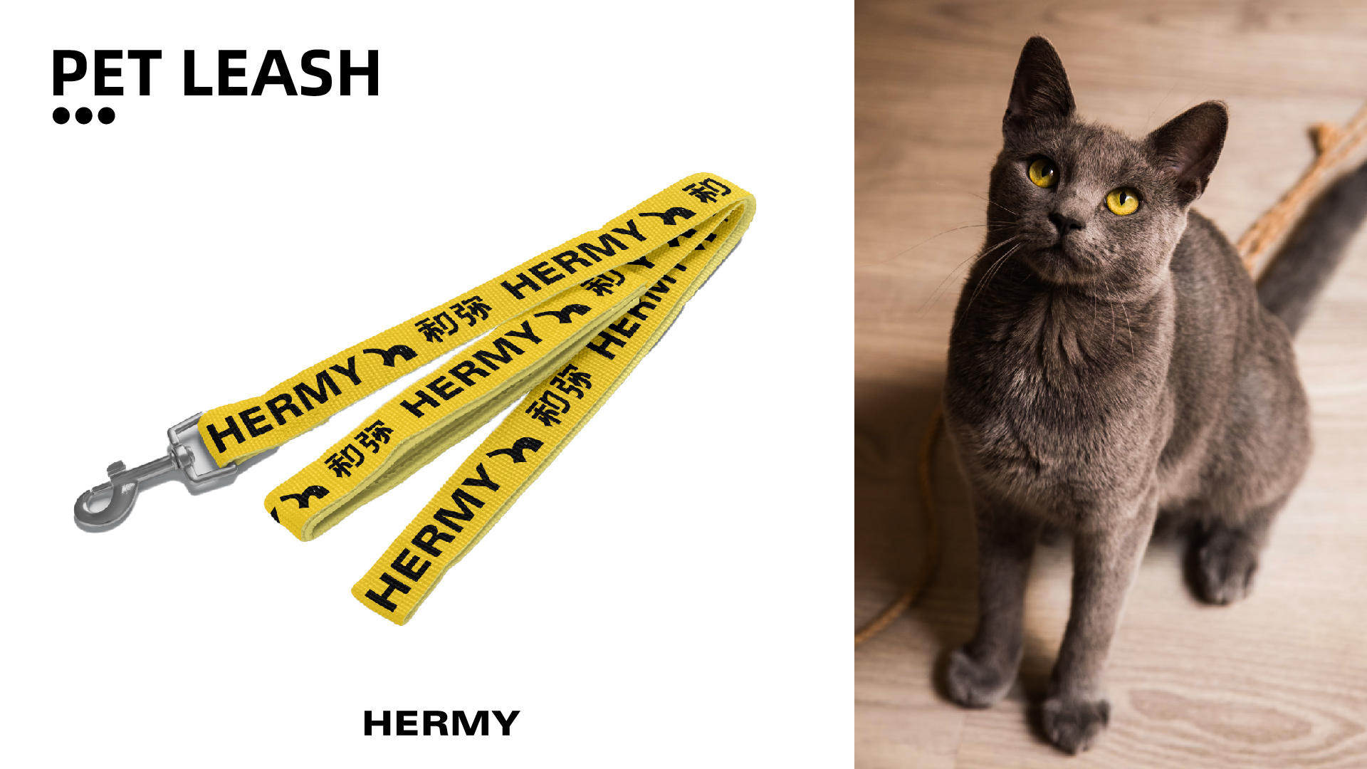 宠物品牌_画板 1 副本 39.jpg