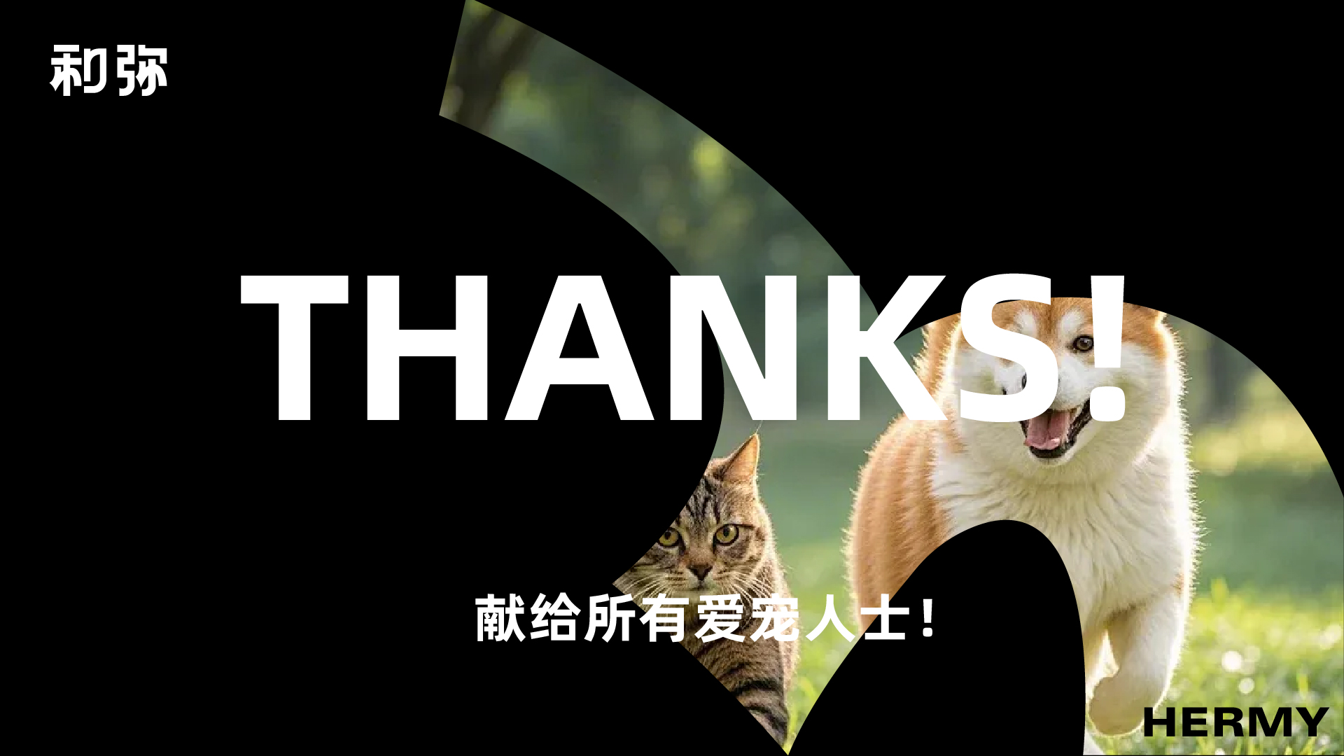 宠物品牌_画板 1 副本 40.jpg