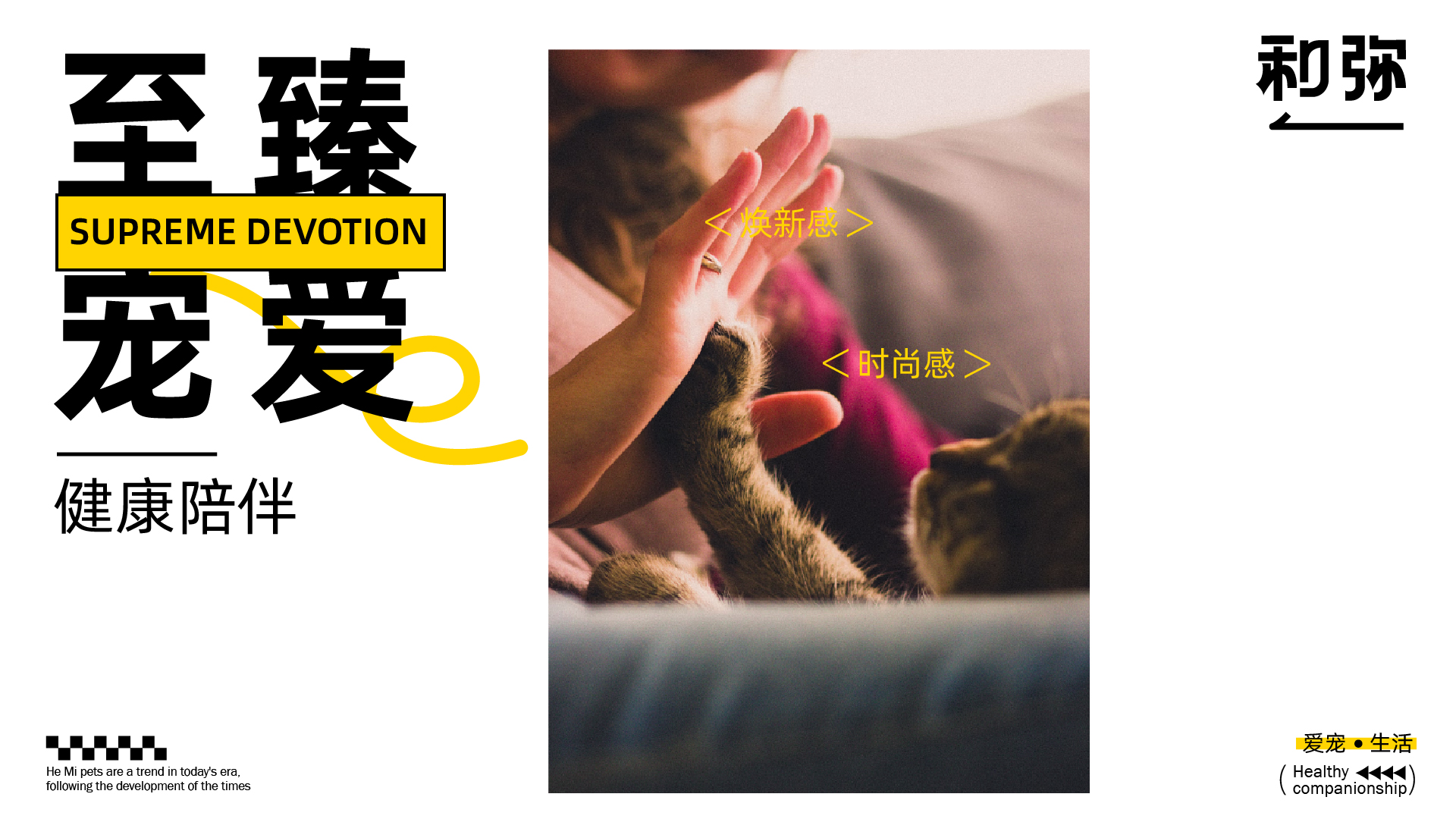 宠物品牌_画板 1 副本 9.jpg