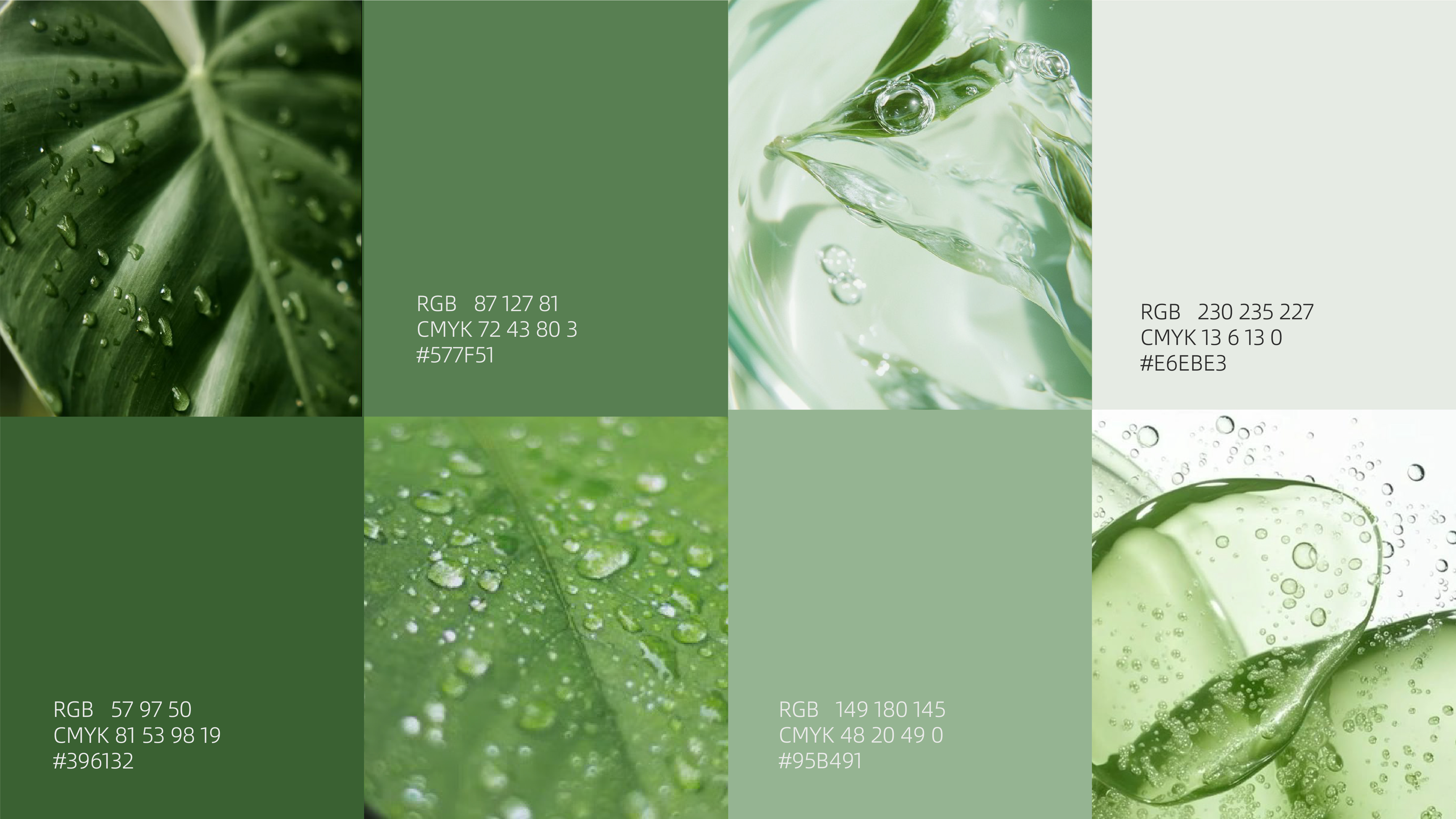 芮林全案_画板 1 副本 9-ZHQP.jpg